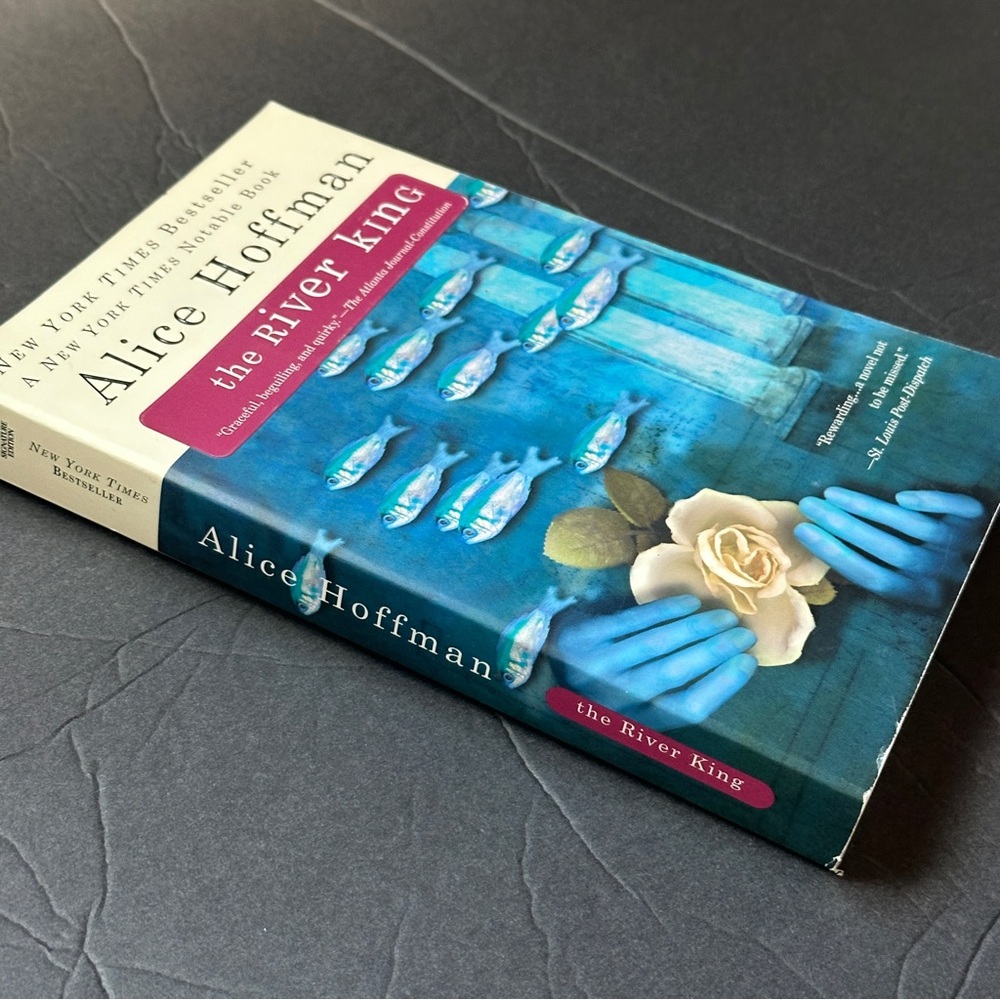 2 BOOK BUNDLE by Alice Hoffman | Fiction | Paperback Book (s) - Picture 6 of 9